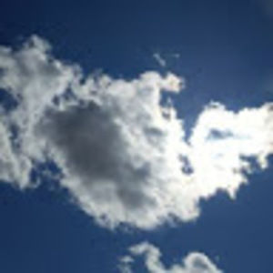 Meet your Posher, Cordell